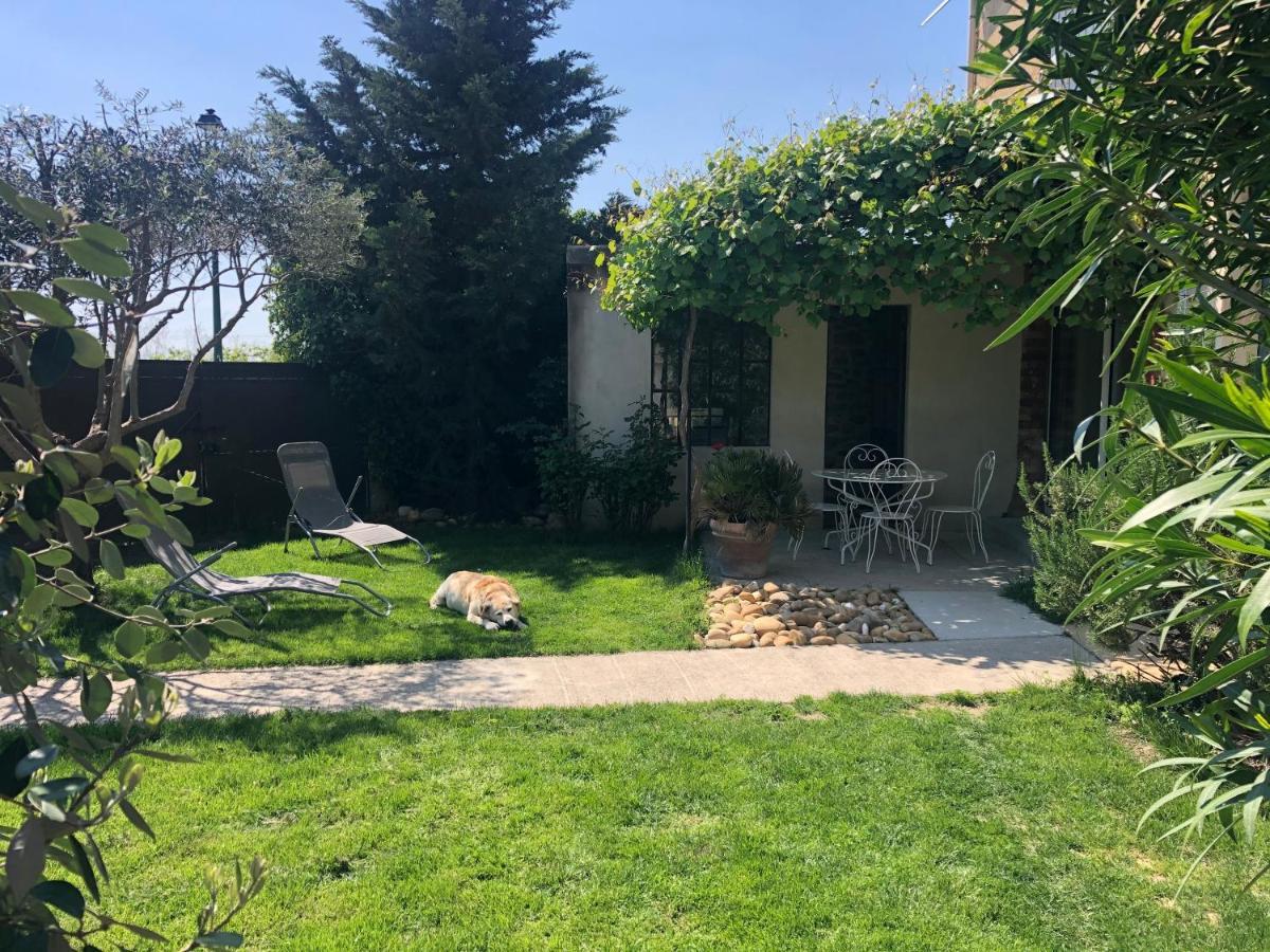B&B - Le Vieux Figuier Vacqueyras Εξωτερικό φωτογραφία
