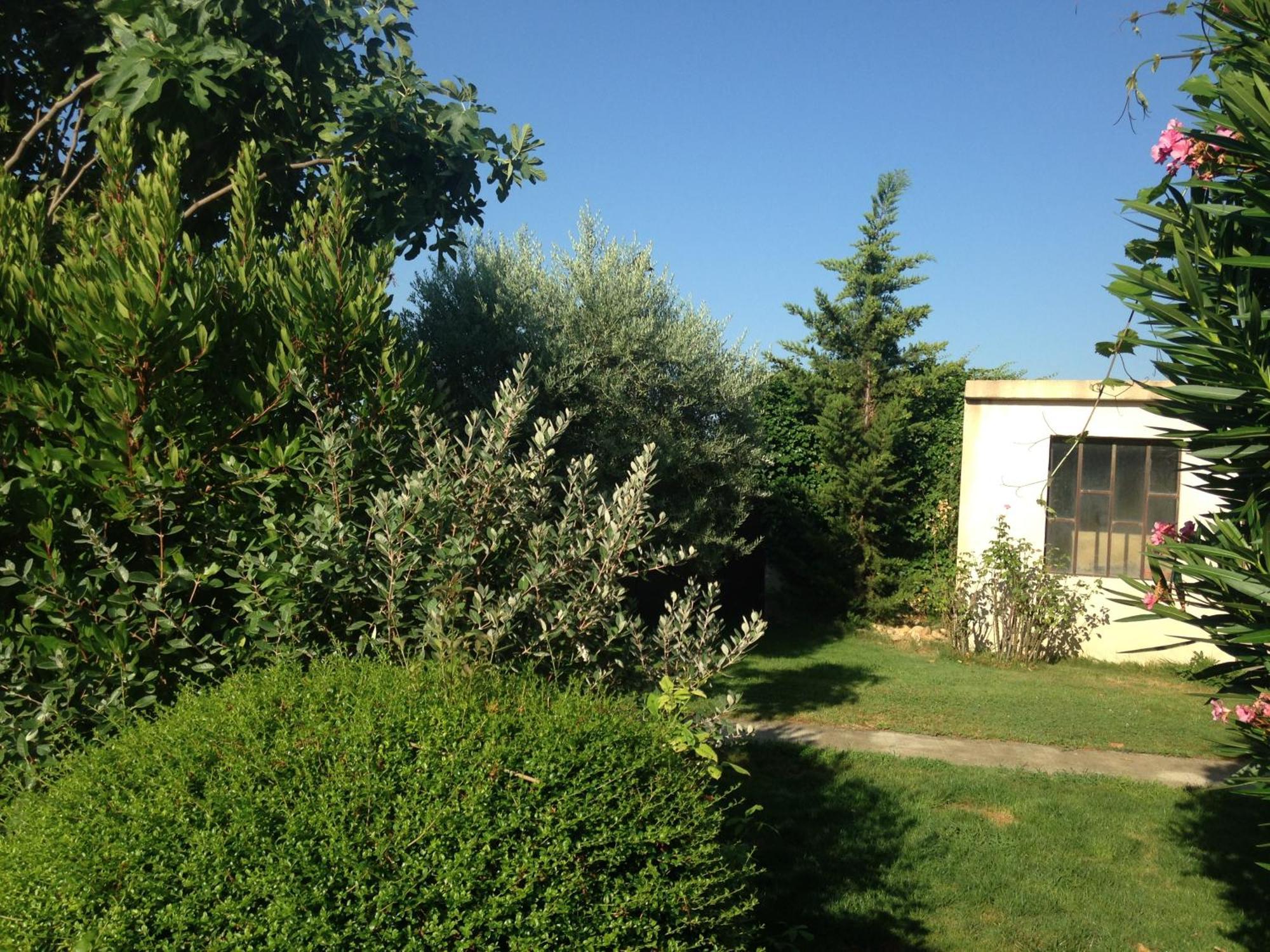B&B - Le Vieux Figuier Vacqueyras Εξωτερικό φωτογραφία