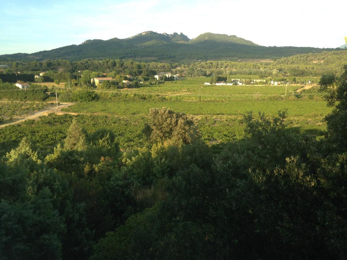 B&B - Le Vieux Figuier Vacqueyras Εξωτερικό φωτογραφία