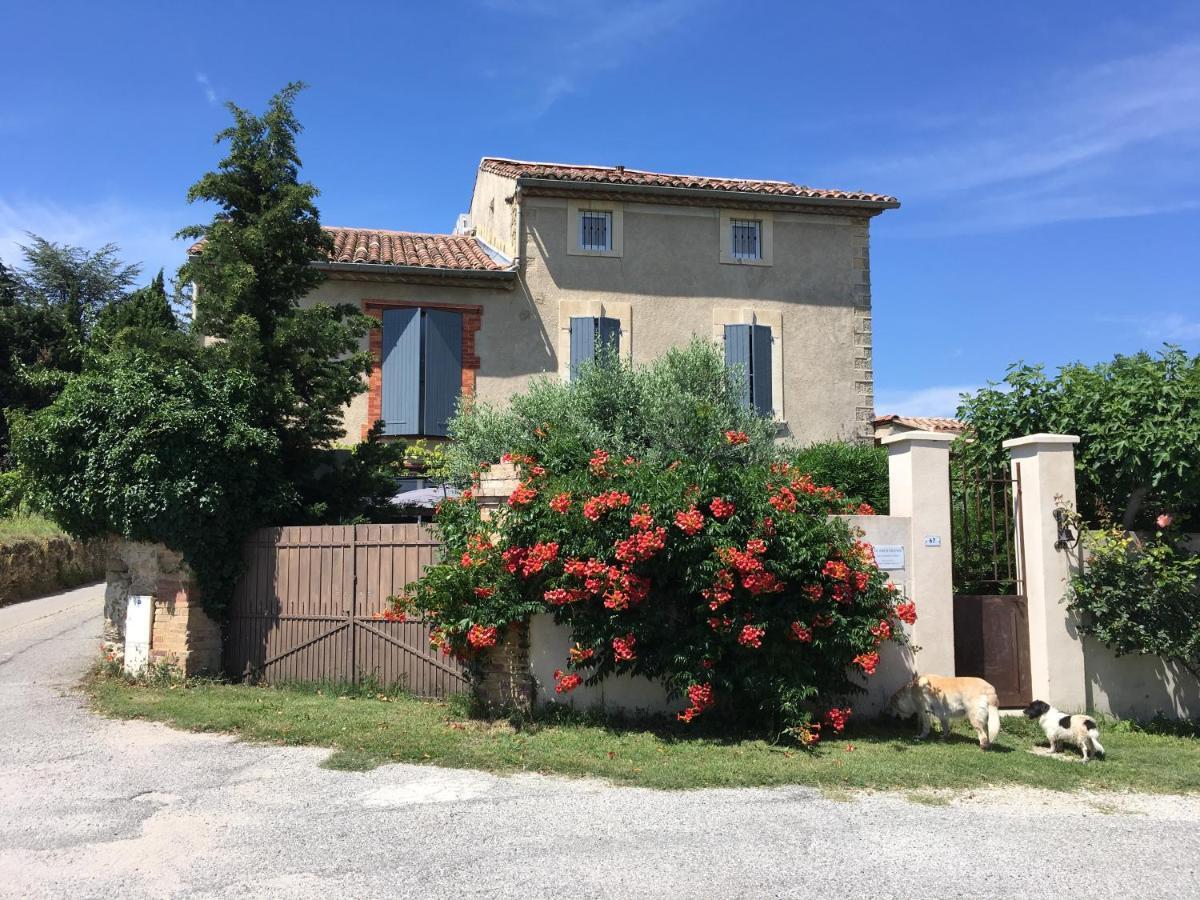 B&B - Le Vieux Figuier Vacqueyras Εξωτερικό φωτογραφία